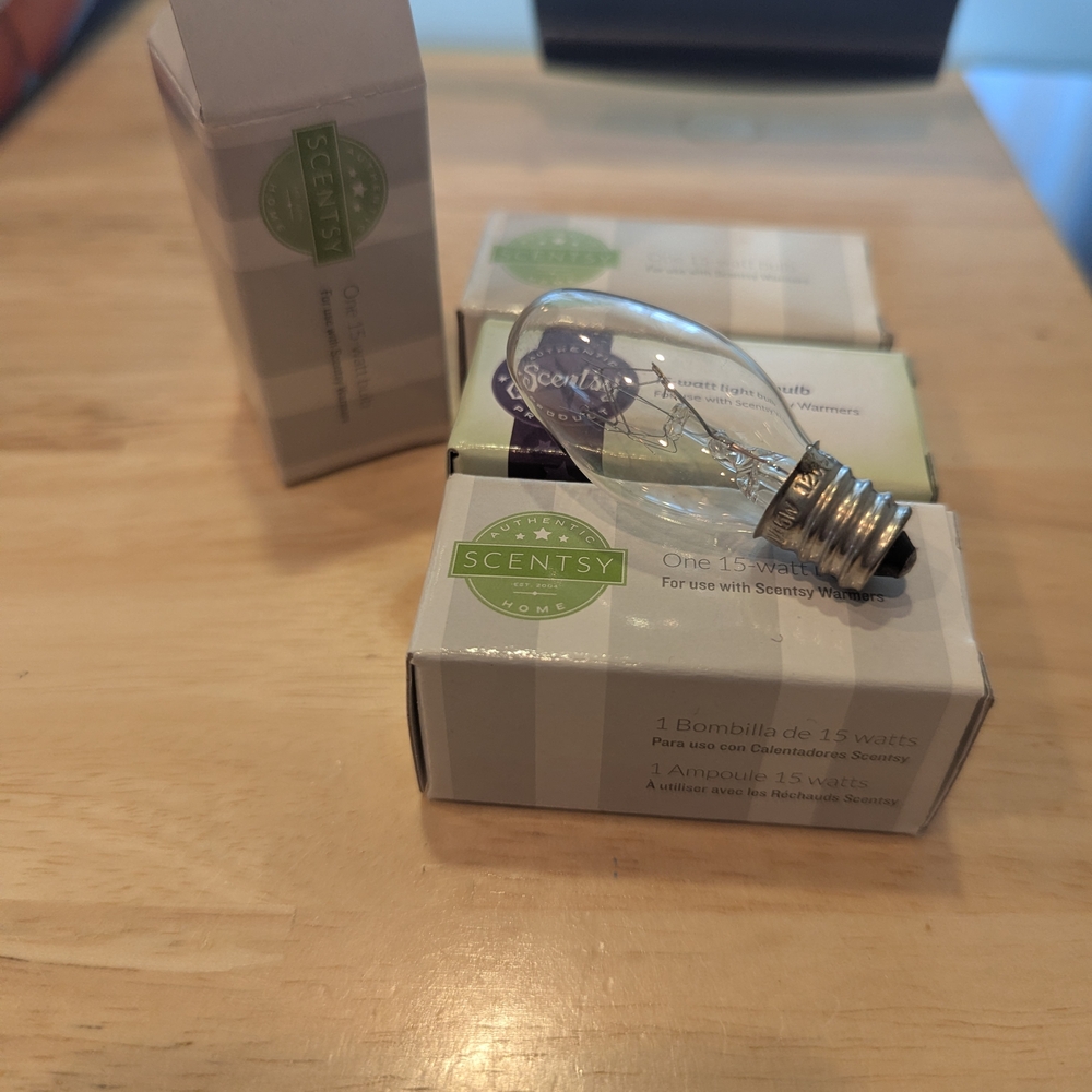Scentsy Clear Glass Light Bulb with Silver Base